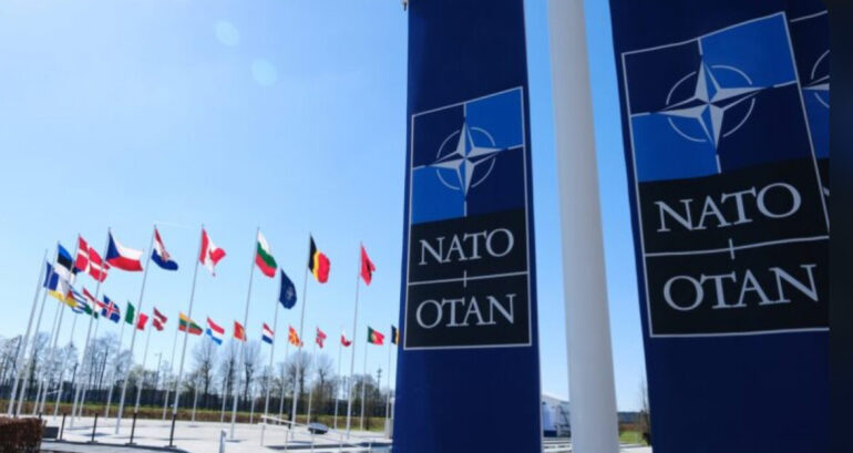 ΟΙ χώρες του ΝΑΤΟ.