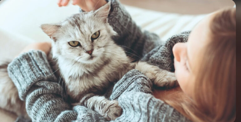 Τα ζώα βοηθούν στην αποβολή άγχους και stress.